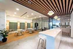 PLUS (D1), Office #501078441